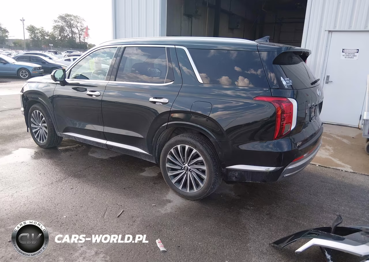 2023 Hyundai Palisade Calligraphy VIN:KM8R7DGE7PU591177 - 3