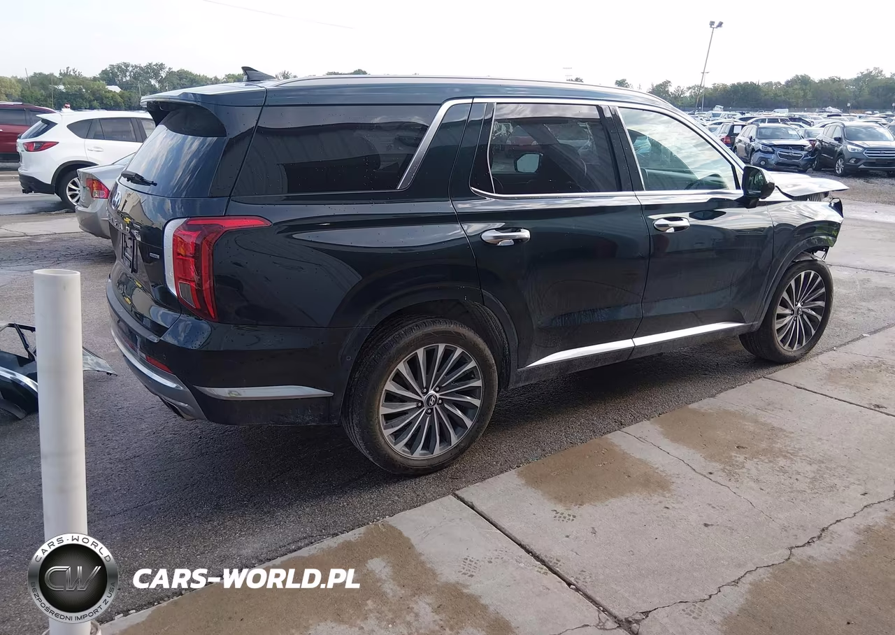 2023 Hyundai Palisade Calligraphy VIN:KM8R7DGE7PU591177 - 4