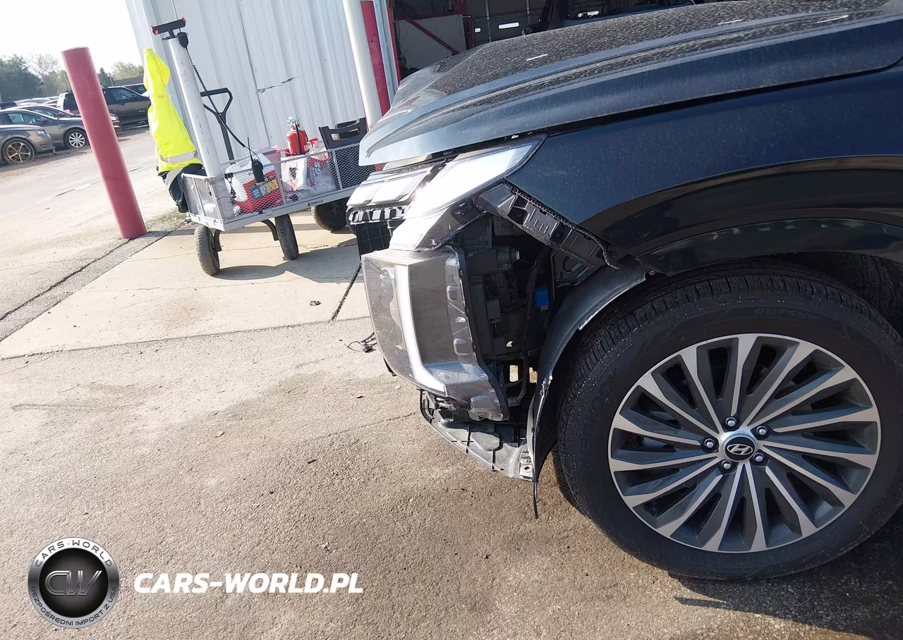 2023 Hyundai Palisade Calligraphy VIN:KM8R7DGE7PU591177 - 6