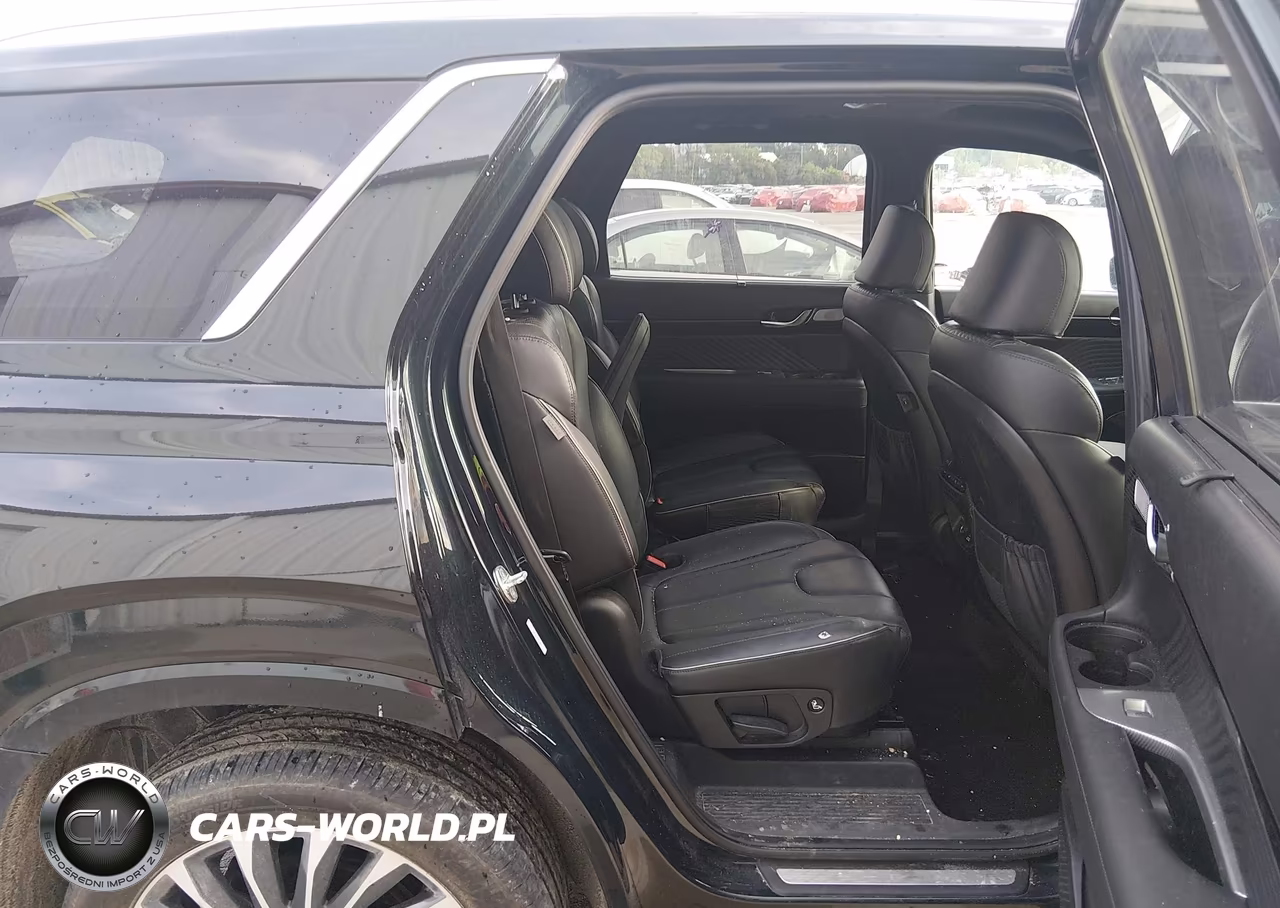 2023 Hyundai Palisade Calligraphy VIN:KM8R7DGE7PU591177 - 8
