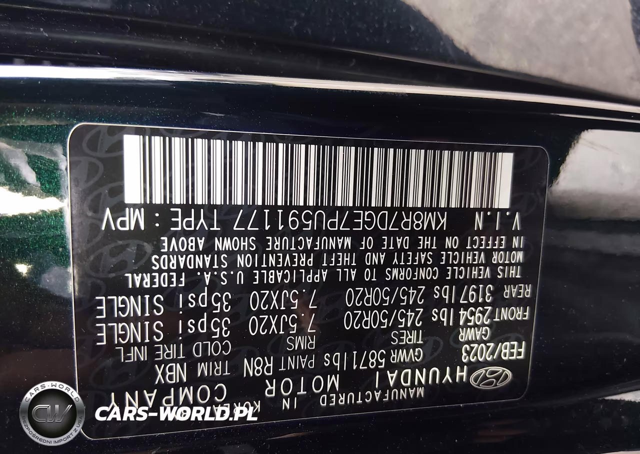 2023 Hyundai Palisade Calligraphy VIN:KM8R7DGE7PU591177 - 9