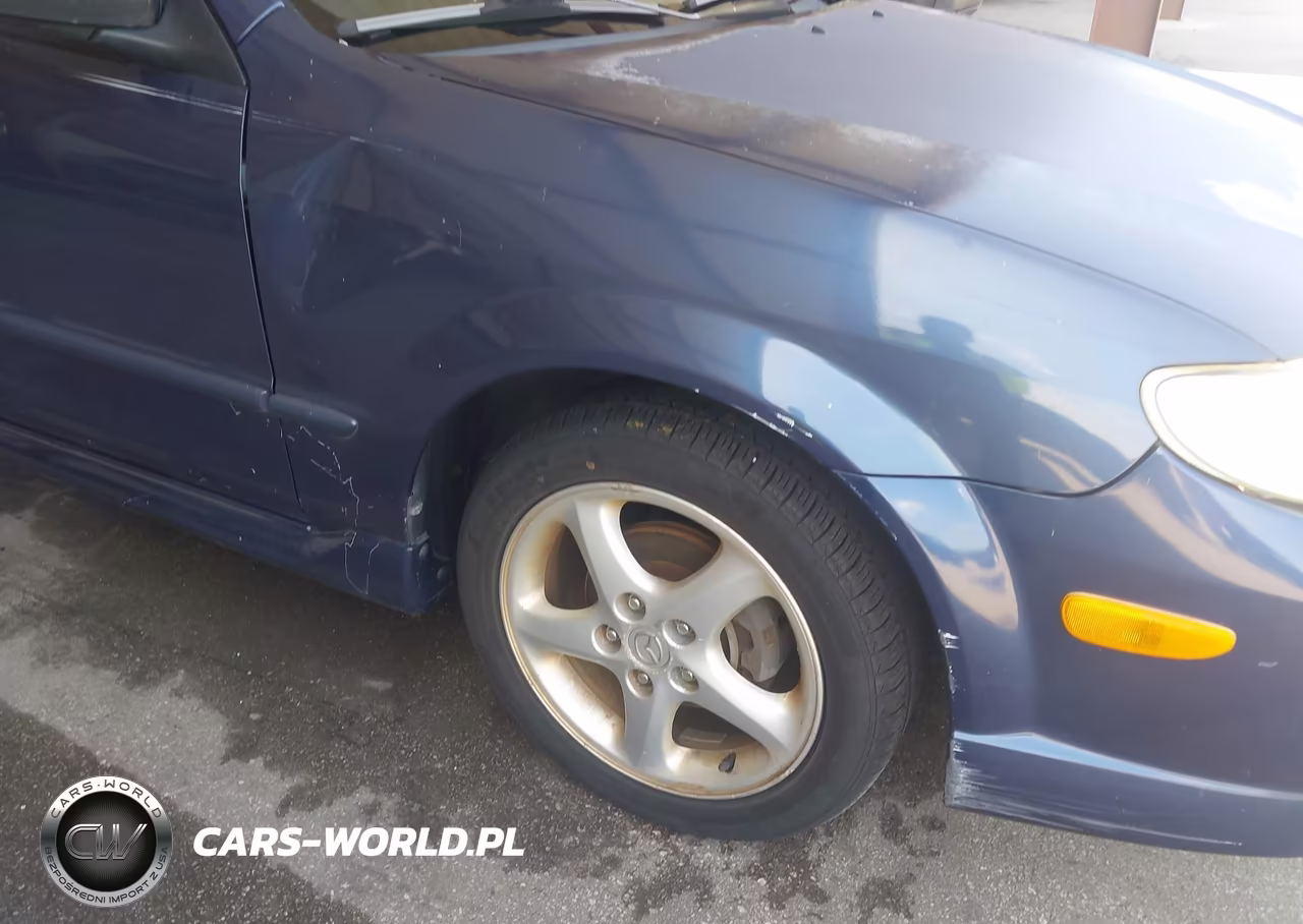 2002 Mazda Protege5 VIN:JM1BJ245021465334 - 12