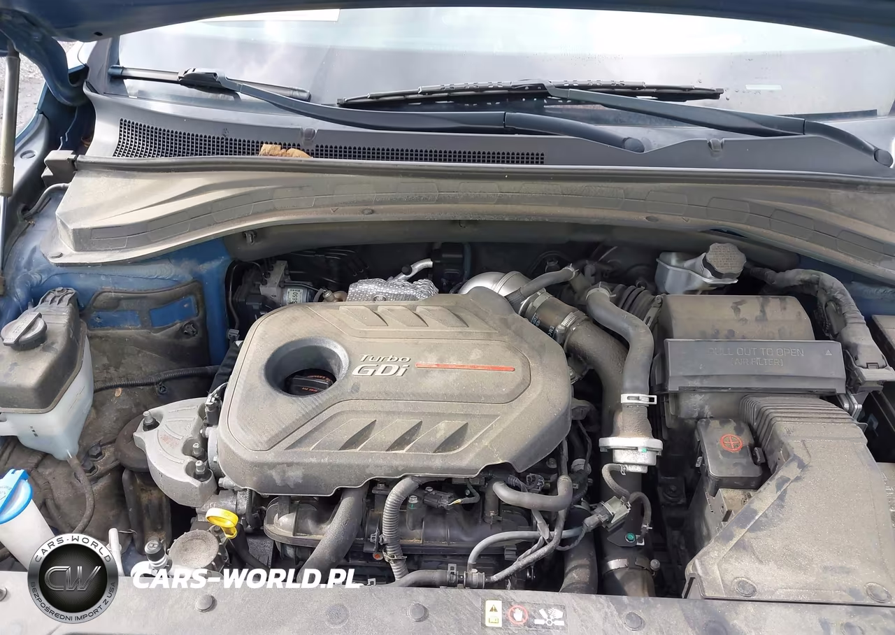 2020 Hyundai Santa Fe Limited 2.0T VIN:5NMS5CAA4LH265530 - 10