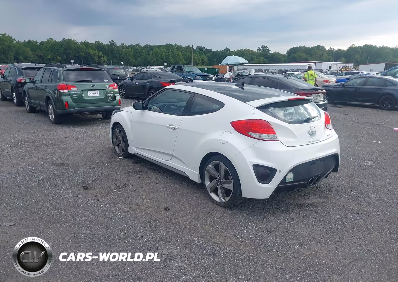 2015 Hyundai Veloster Turbo VIN:KMHTC6AE3FU217170 - 3
