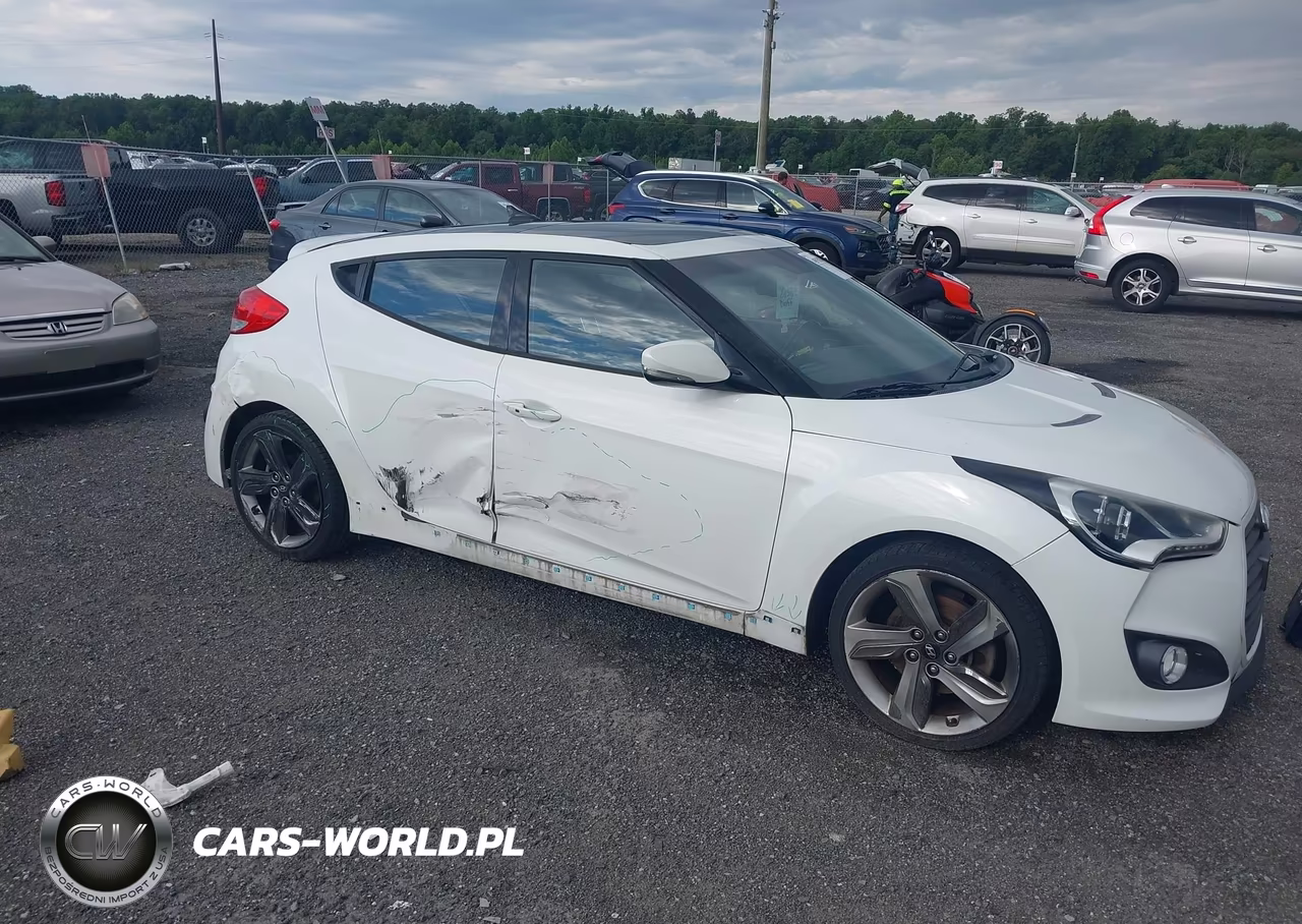 2015 Hyundai Veloster Turbo VIN:KMHTC6AE3FU217170 - 6