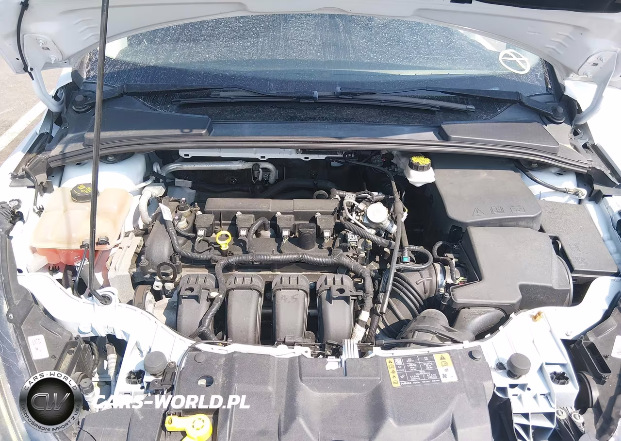 2017 Ford Focus Sel VIN:1FADP3H2XHL347016 - 10