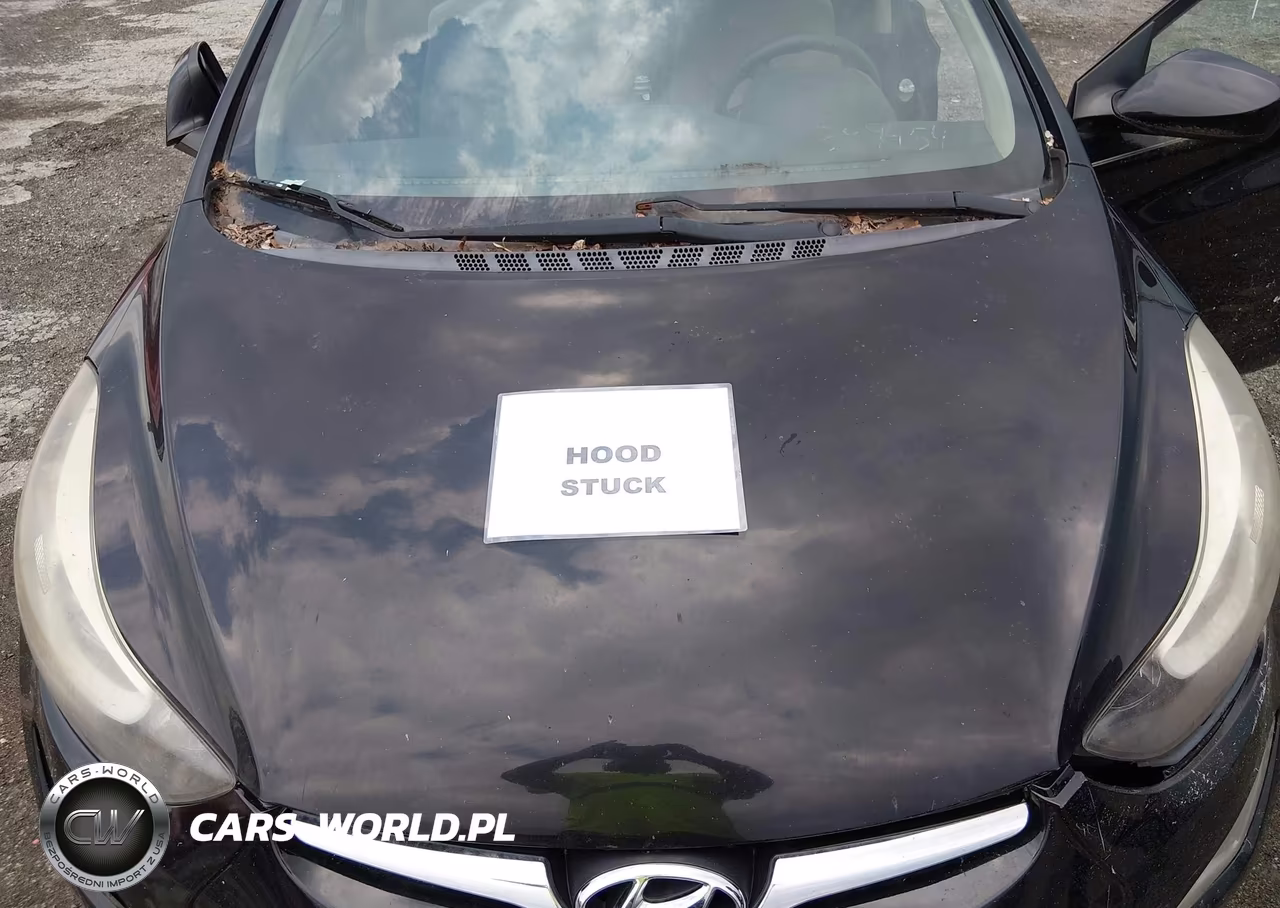 2015 Hyundai Elantra Se VIN:KMHDH4AE7FU389454 - 10