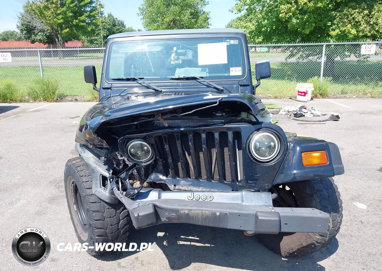 1999 Jeep Wrangler Se VIN:1J4FY29P2XP496221 - 12