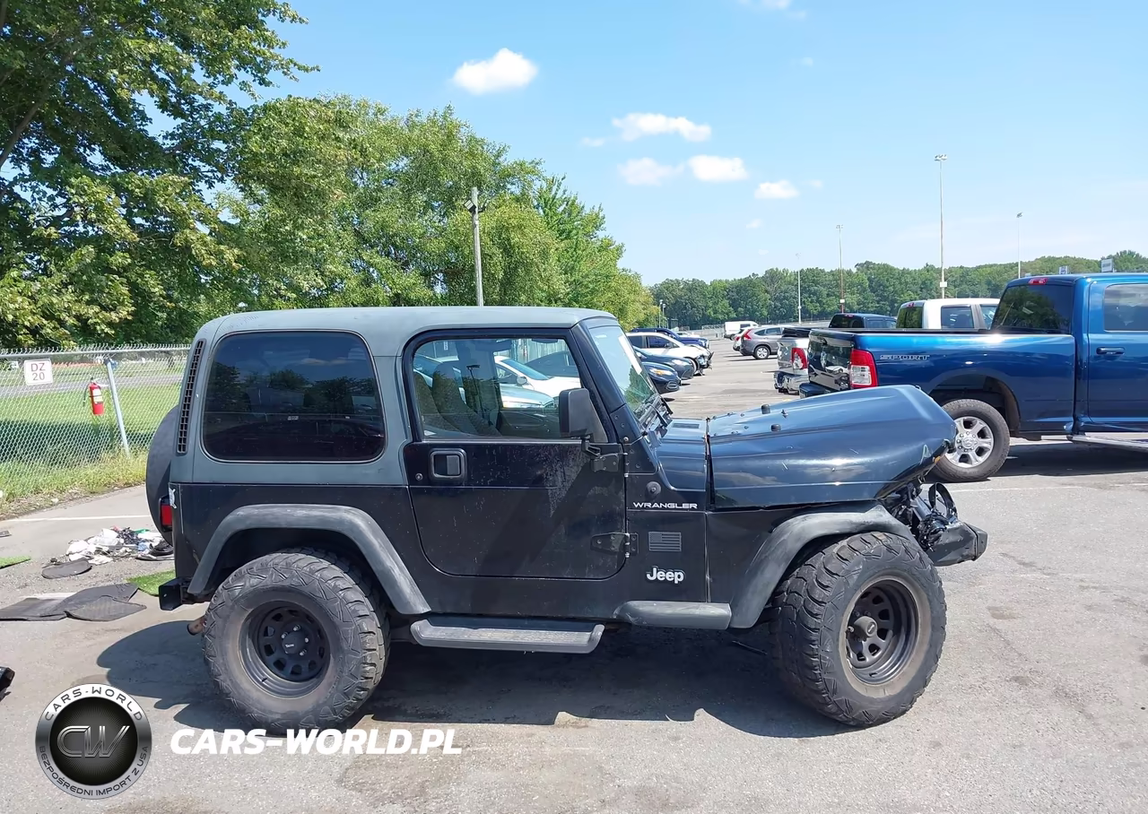 1999 Jeep Wrangler Se VIN:1J4FY29P2XP496221 - 13