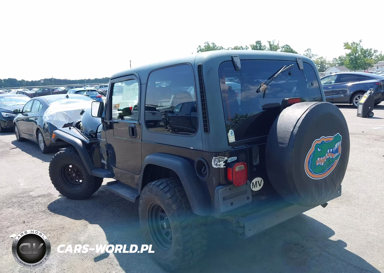 1999 Jeep Wrangler Se VIN:1J4FY29P2XP496221 - 3