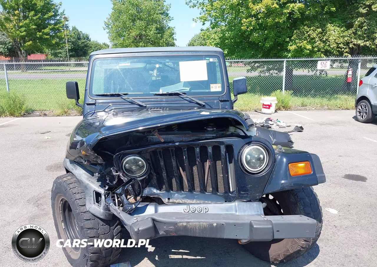 1999 Jeep Wrangler Se VIN:1J4FY29P2XP496221 - 6