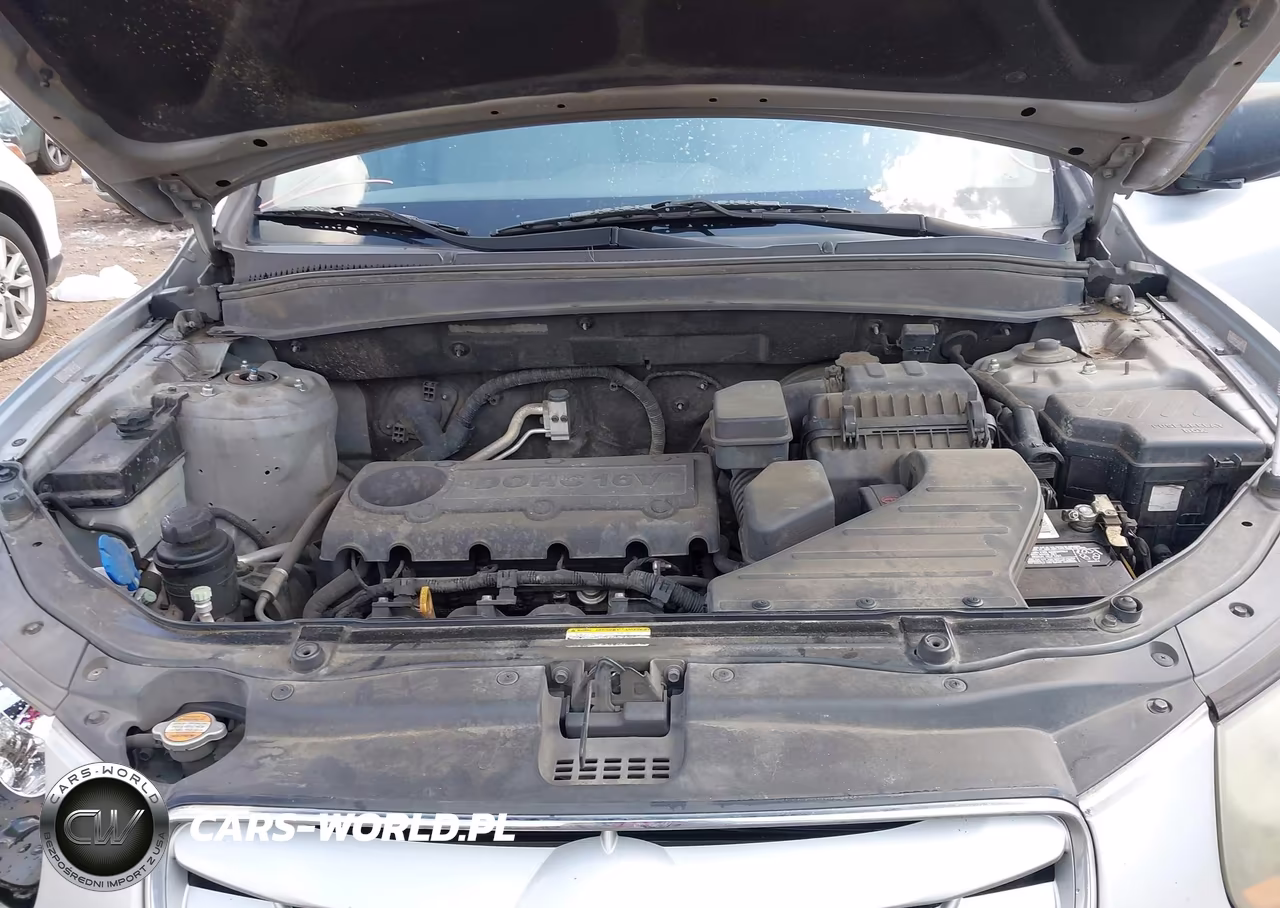 2010 Hyundai Santa Fe Gls VIN:5NMSG3AB0AH346508 - 10