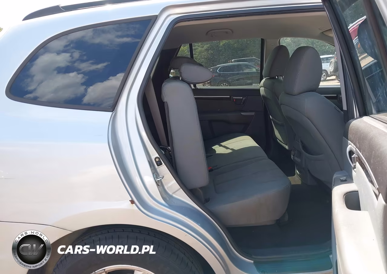2010 Hyundai Santa Fe Gls VIN:5NMSG3AB0AH346508 - 8