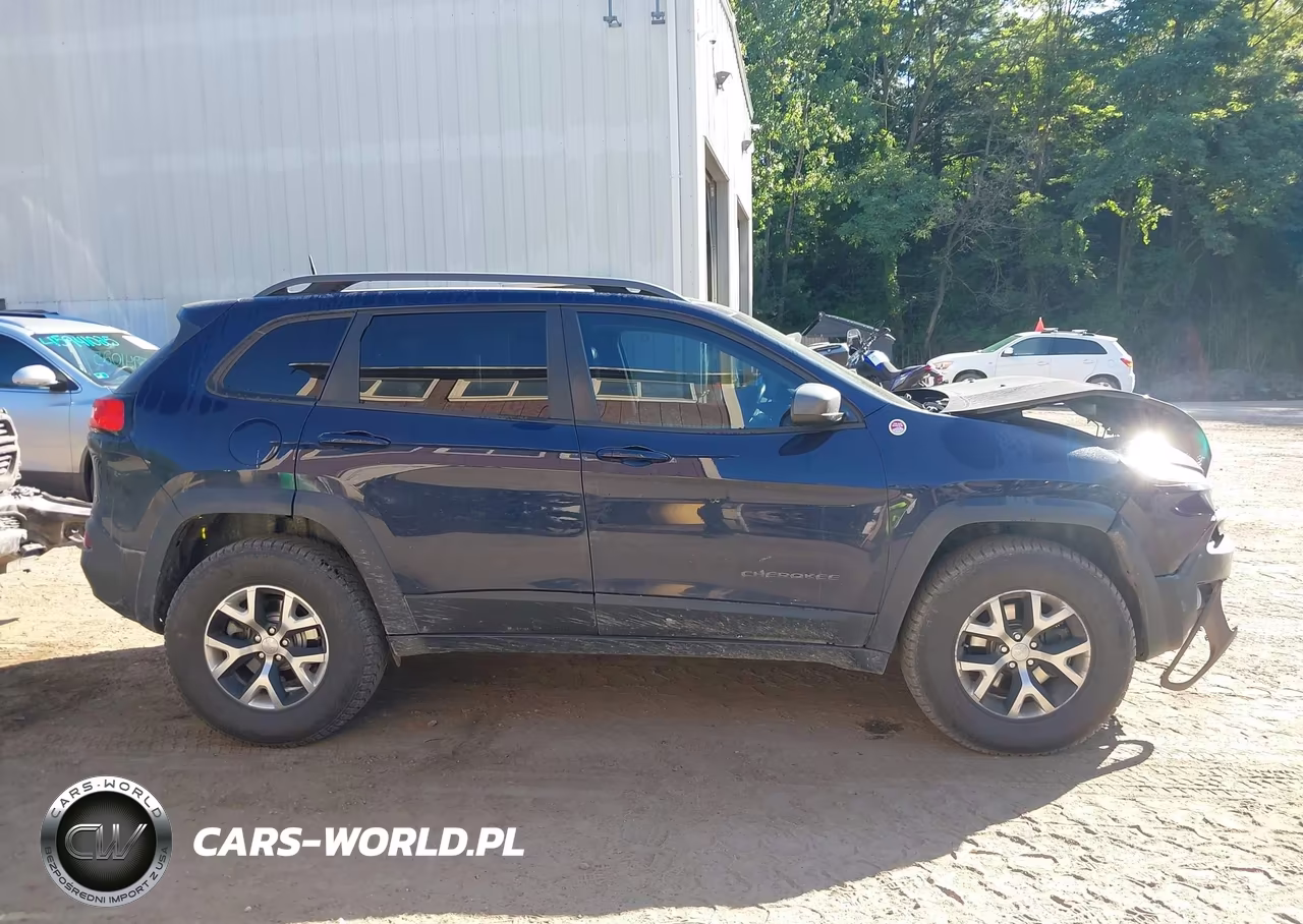 2016 Jeep Cherokee Trailhawk VIN:1C4PJMBS7GW335510 - 13