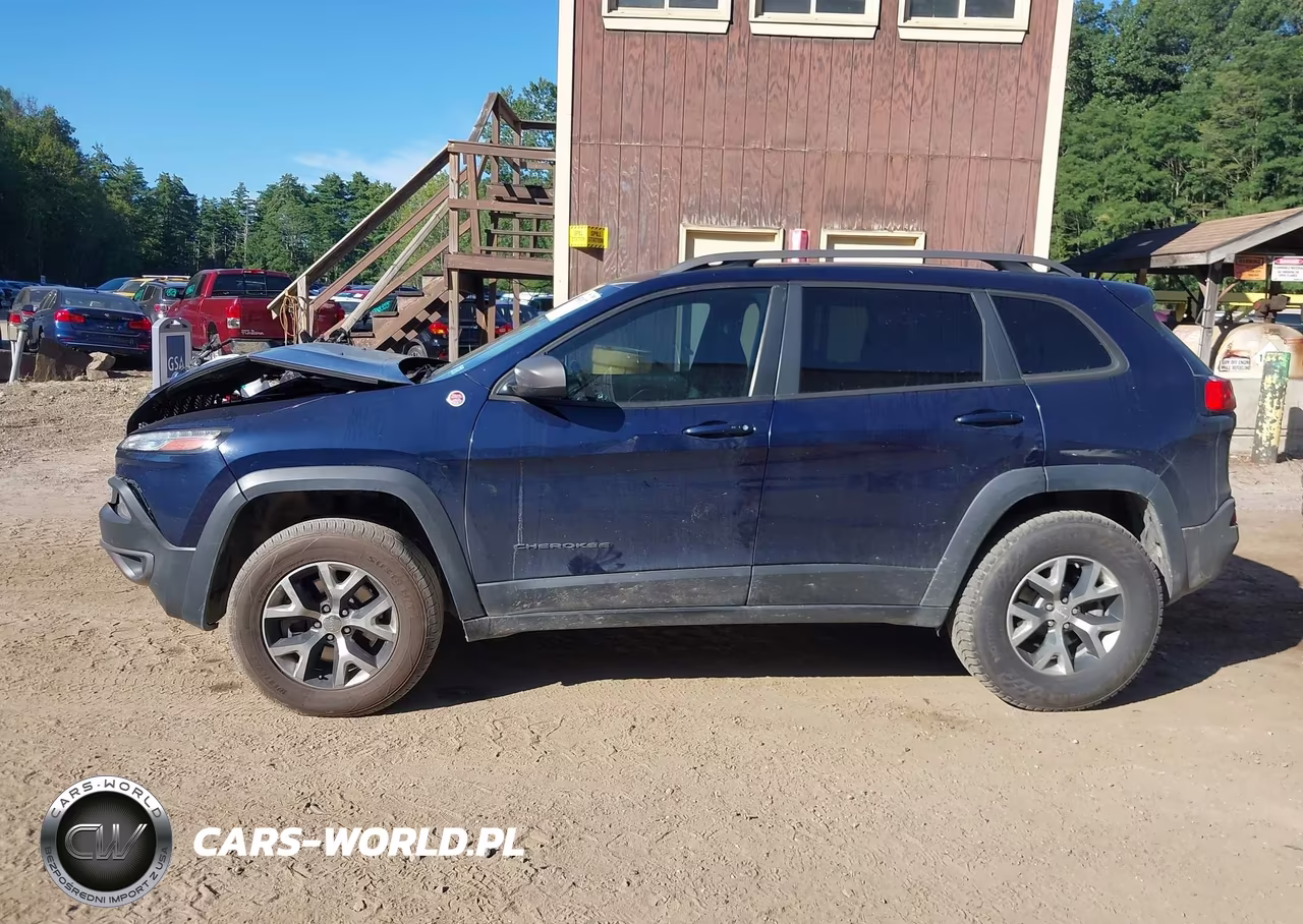 2016 Jeep Cherokee Trailhawk VIN:1C4PJMBS7GW335510 - 14