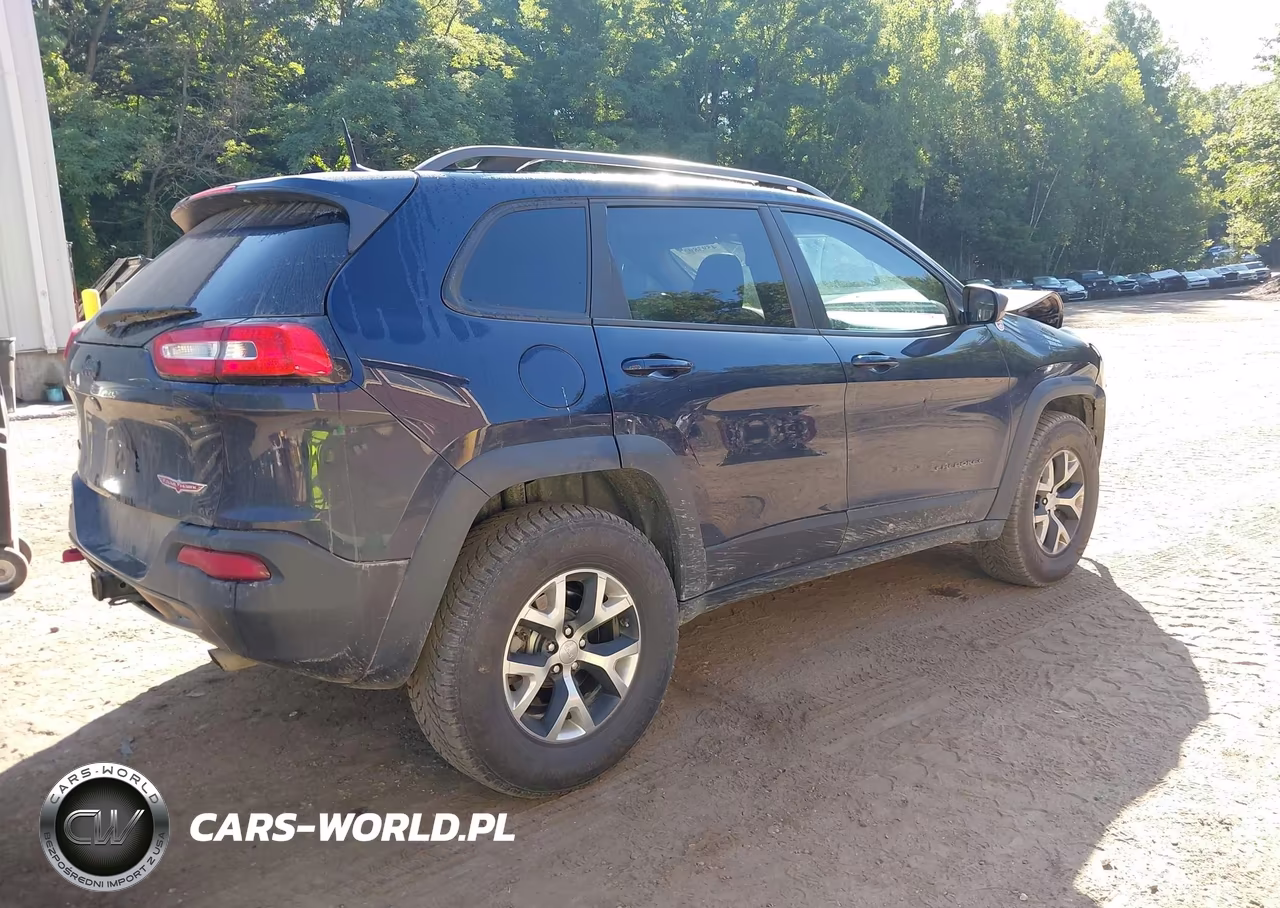 2016 Jeep Cherokee Trailhawk VIN:1C4PJMBS7GW335510 - 4