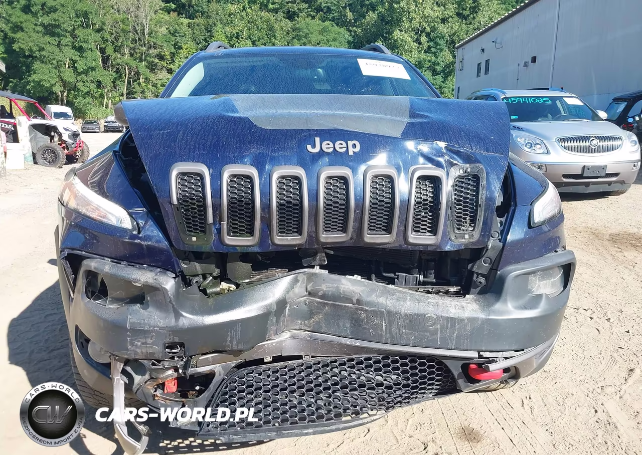 2016 Jeep Cherokee Trailhawk VIN:1C4PJMBS7GW335510 - 6
