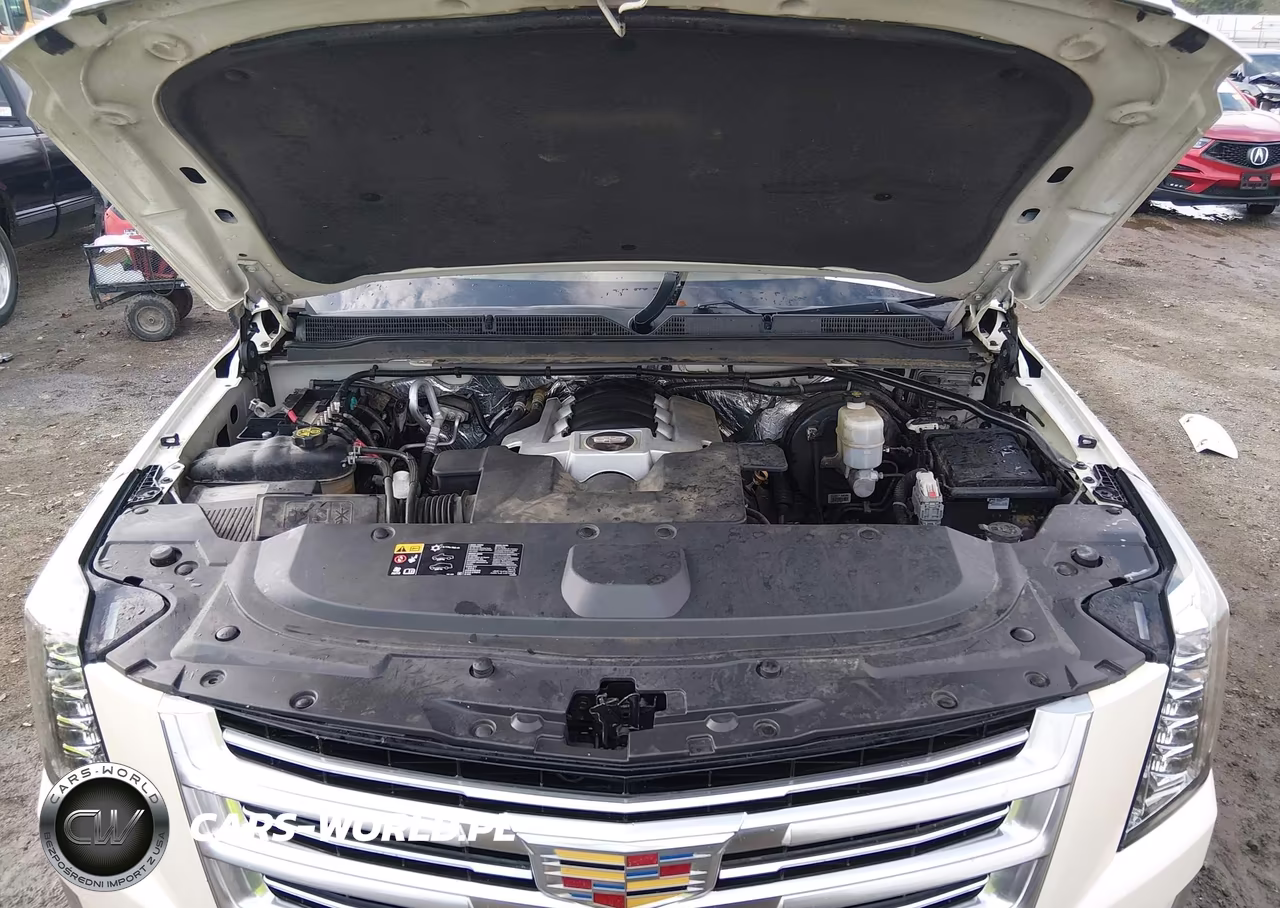2015 Cadillac Escalade Platinum VIN:1GYS4PKJ4FR685081 - 10