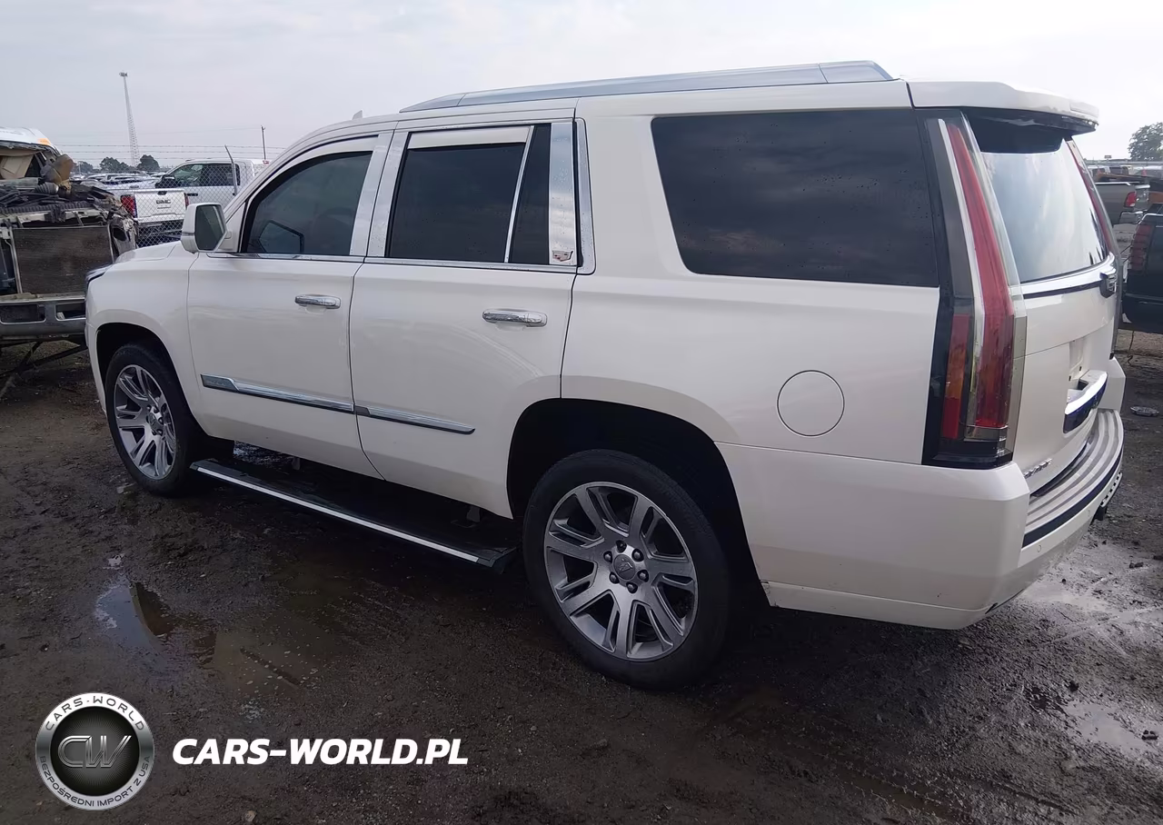 2015 Cadillac Escalade Platinum VIN:1GYS4PKJ4FR685081 - 3