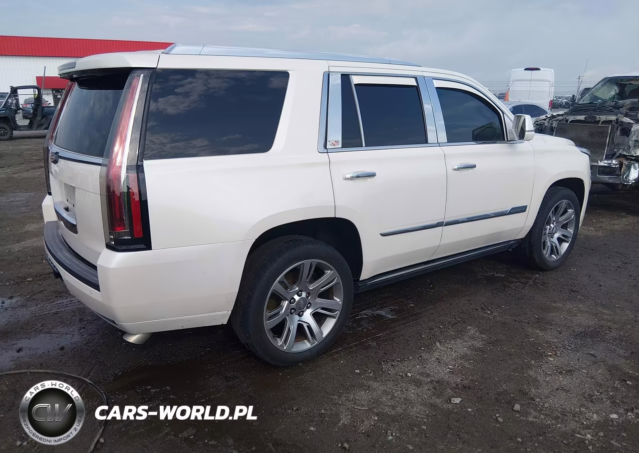2015 Cadillac Escalade Platinum VIN:1GYS4PKJ4FR685081 - 4