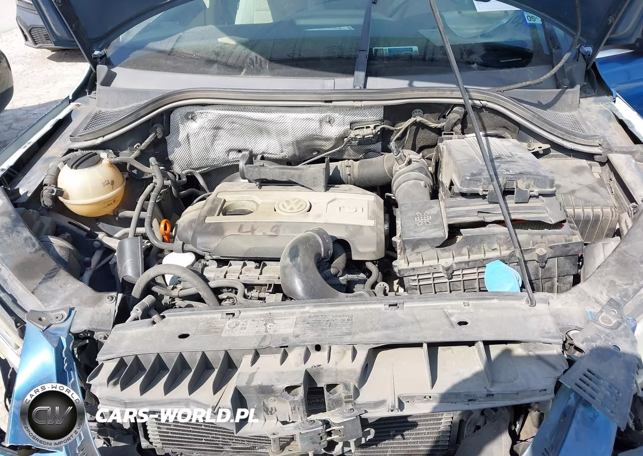 2010 Volkswagen Tiguan Se VIN:WVGAV7AX8AW502789 - 10