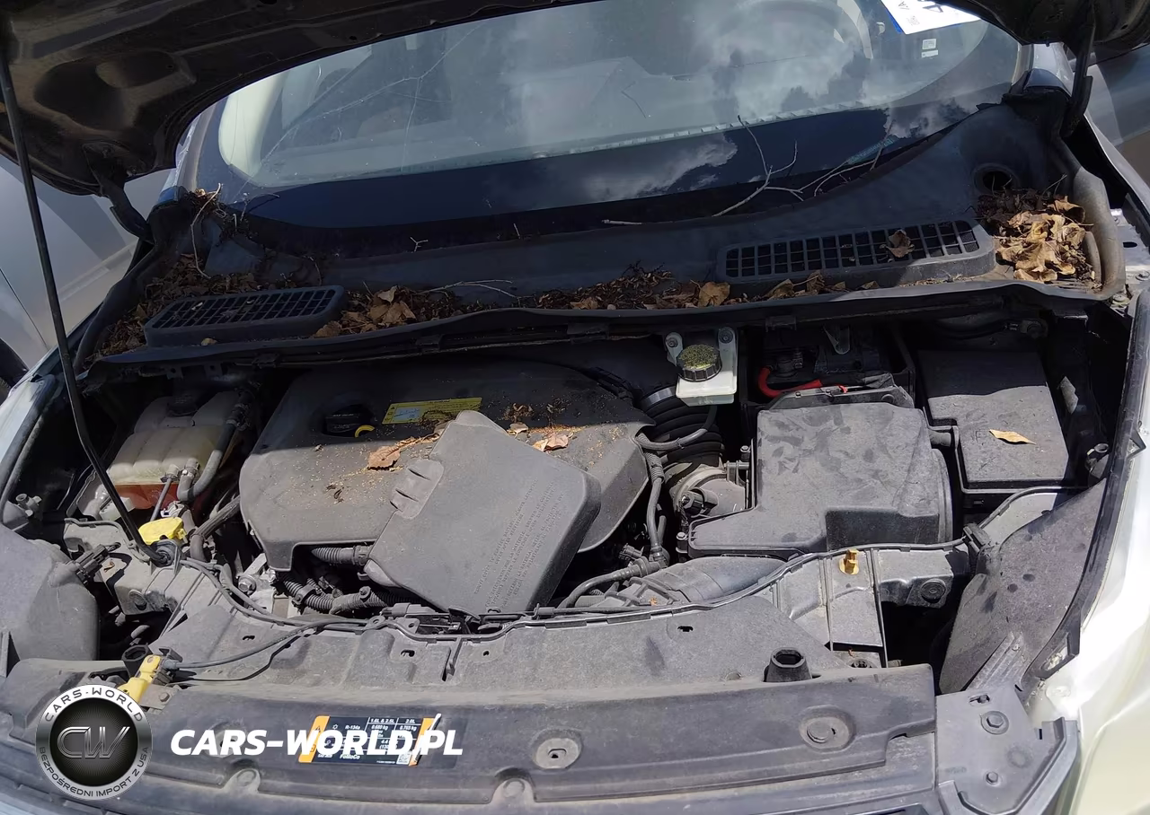 2014 Ford Escape Se VIN:1FMCU0GX3EUB84642 - 10