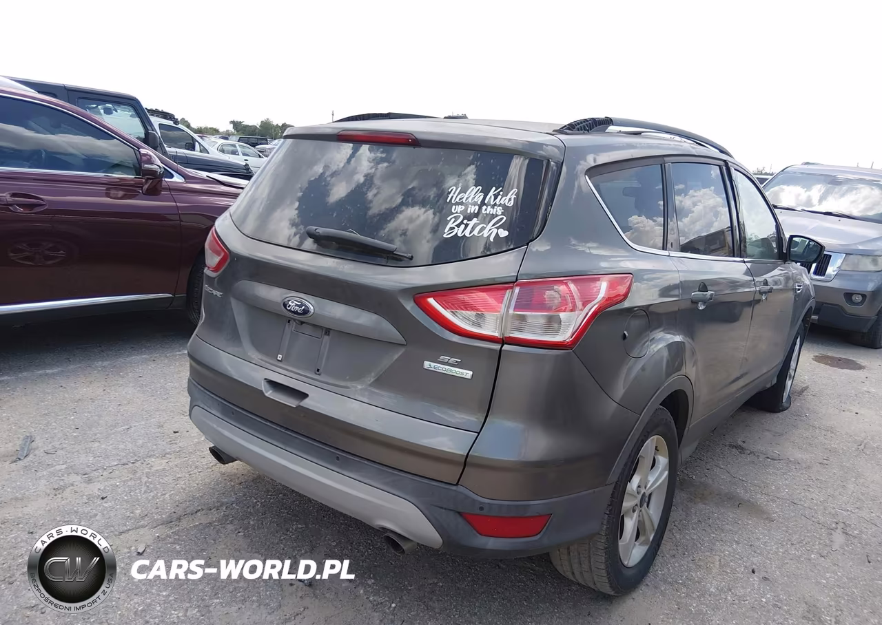 2014 Ford Escape Se VIN:1FMCU0GX3EUB84642 - 4