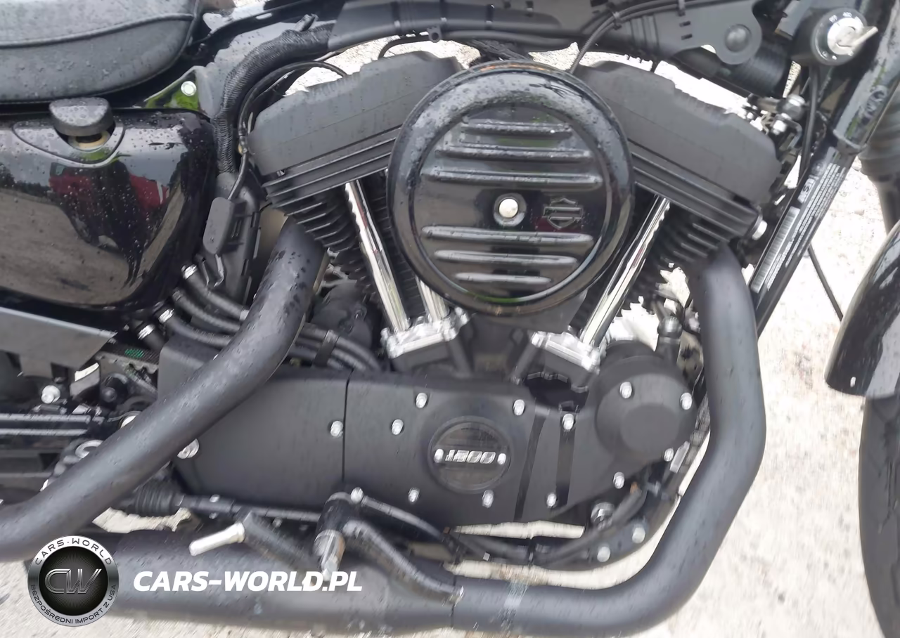 2020 Harley-Davidson Xl1200 Ns VIN:1HD1LP310LB439036 - 8