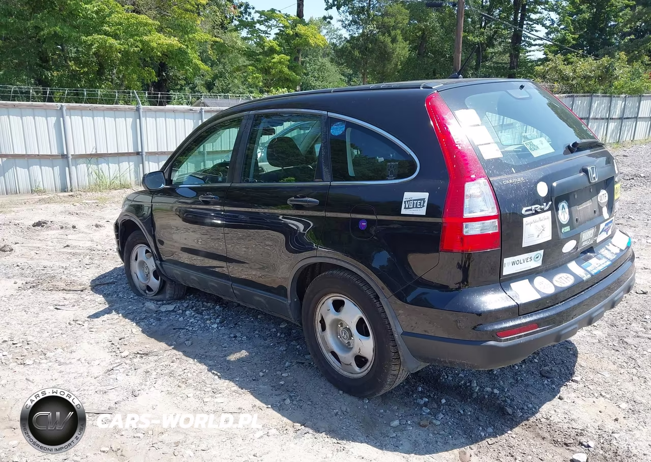 2010 Honda Cr-V Lx VIN:5J6RE4H33AL075798 - 3