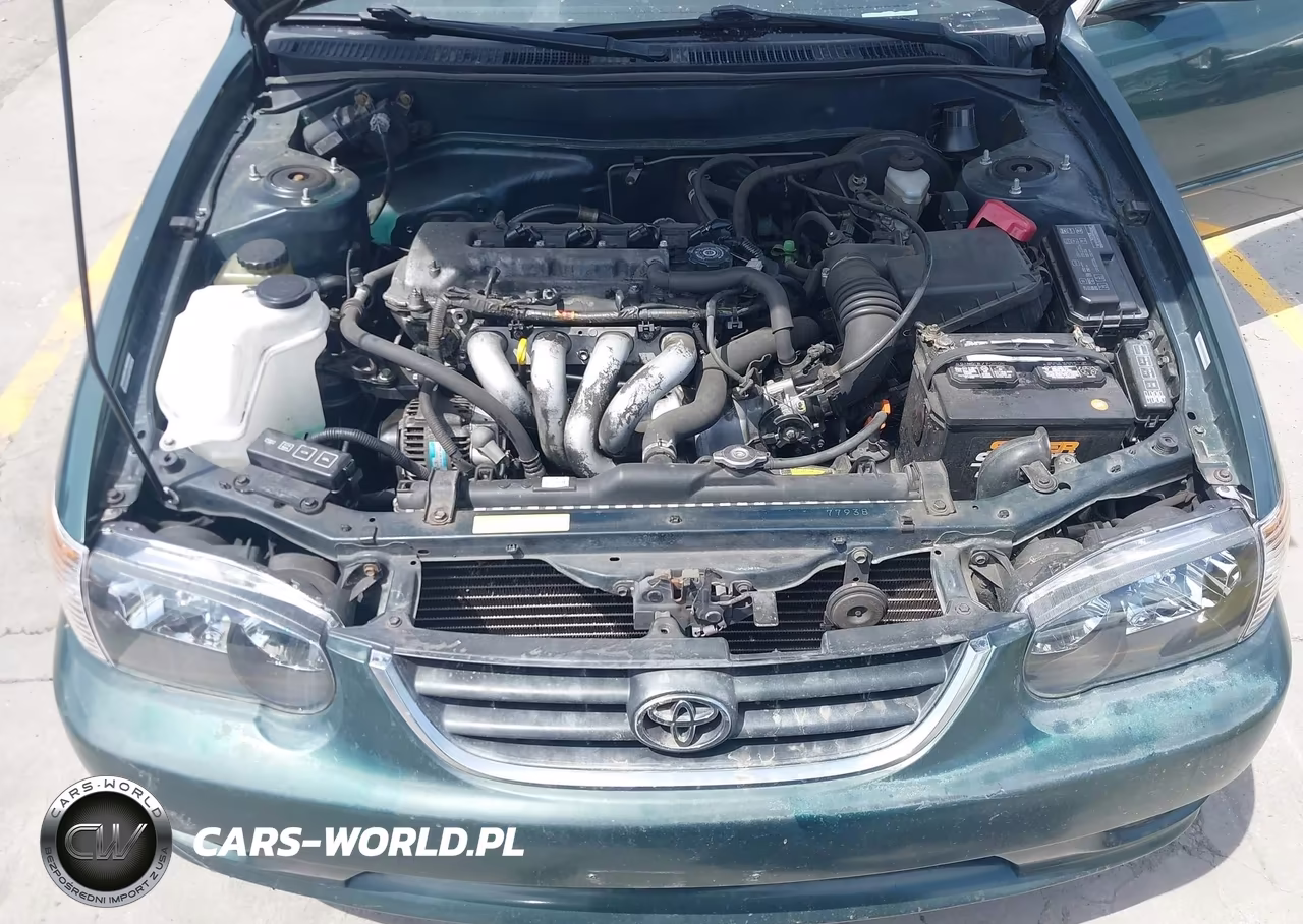 2002 Toyota Corolla Le VIN:1NXBR12E82Z621894 - 10
