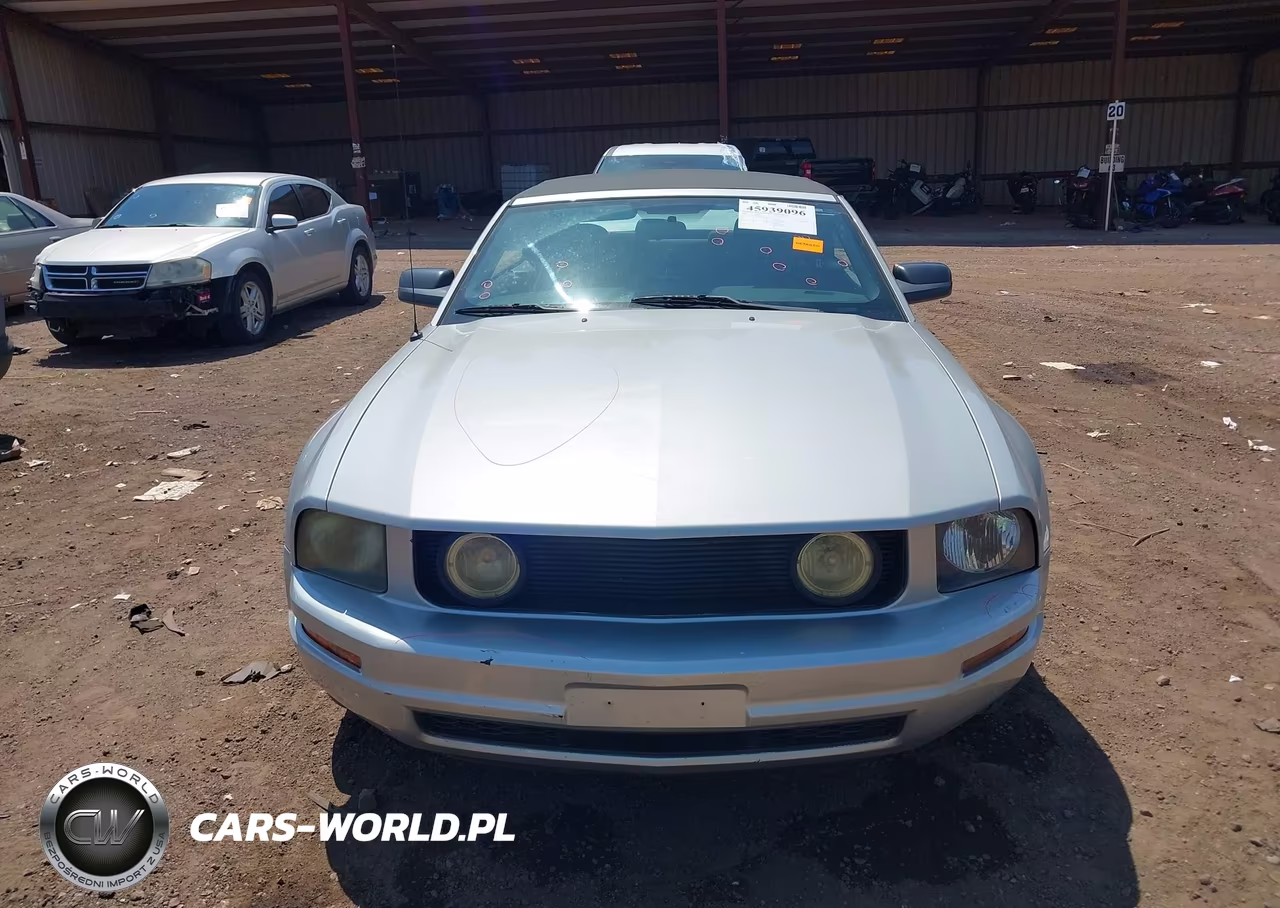 2005 Ford Mustang VIN:1ZVFT84N455187319 - 12