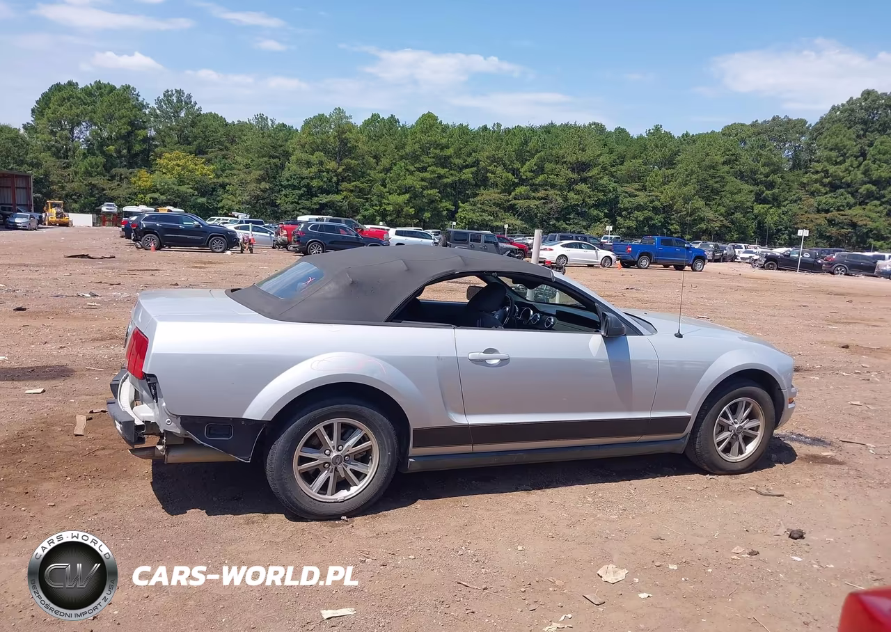 2005 Ford Mustang VIN:1ZVFT84N455187319 - 13