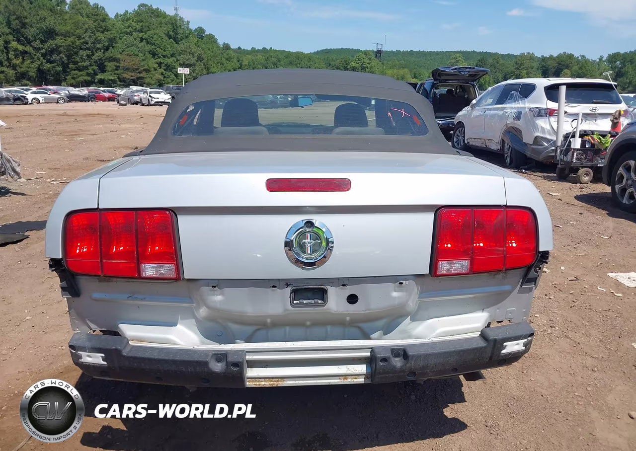 2005 Ford Mustang VIN:1ZVFT84N455187319 - 16