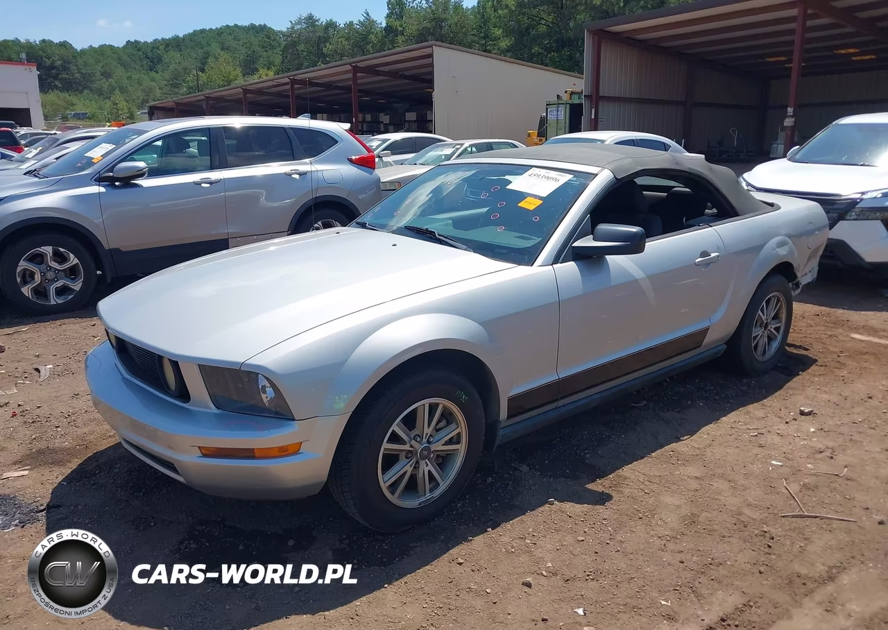 2005 Ford Mustang VIN:1ZVFT84N455187319 - 2