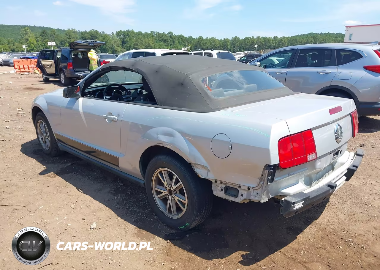 2005 Ford Mustang VIN:1ZVFT84N455187319 - 3