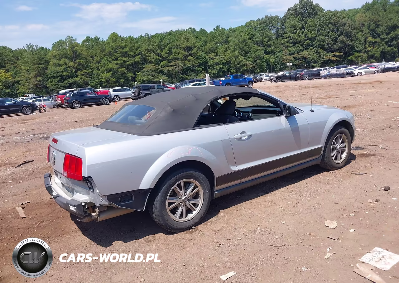 2005 Ford Mustang VIN:1ZVFT84N455187319 - 4
