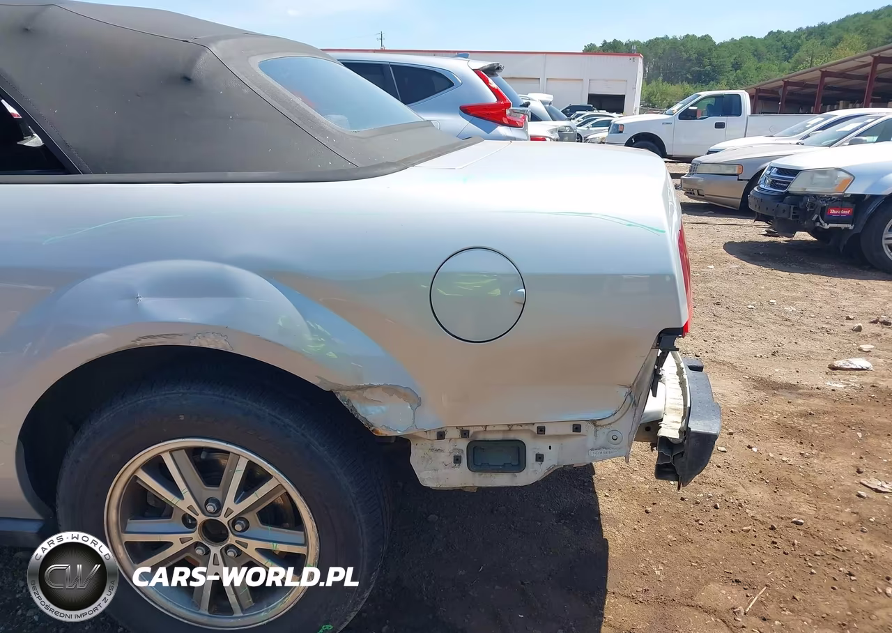 2005 Ford Mustang VIN:1ZVFT84N455187319 - 6