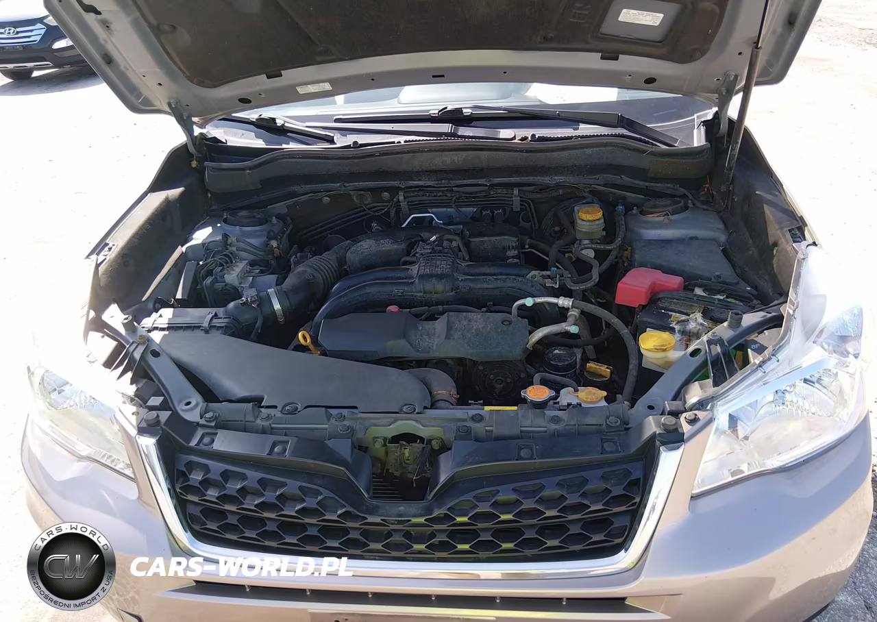 2016 Subaru Forester 2.5I Premium VIN:JF2SJAFC5GH456862 - 10