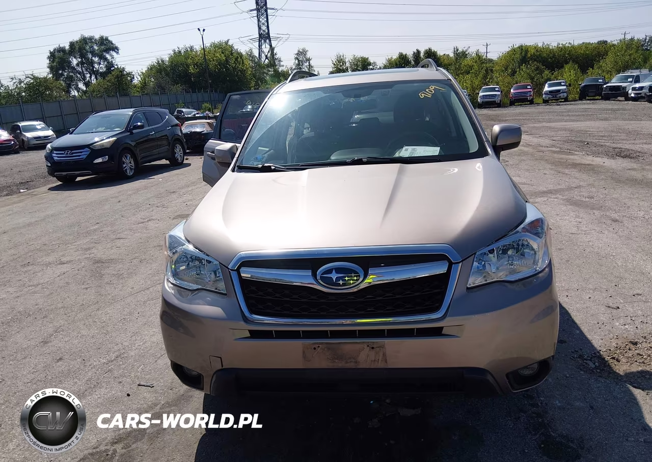 2016 Subaru Forester 2.5I Premium VIN:JF2SJAFC5GH456862 - 12