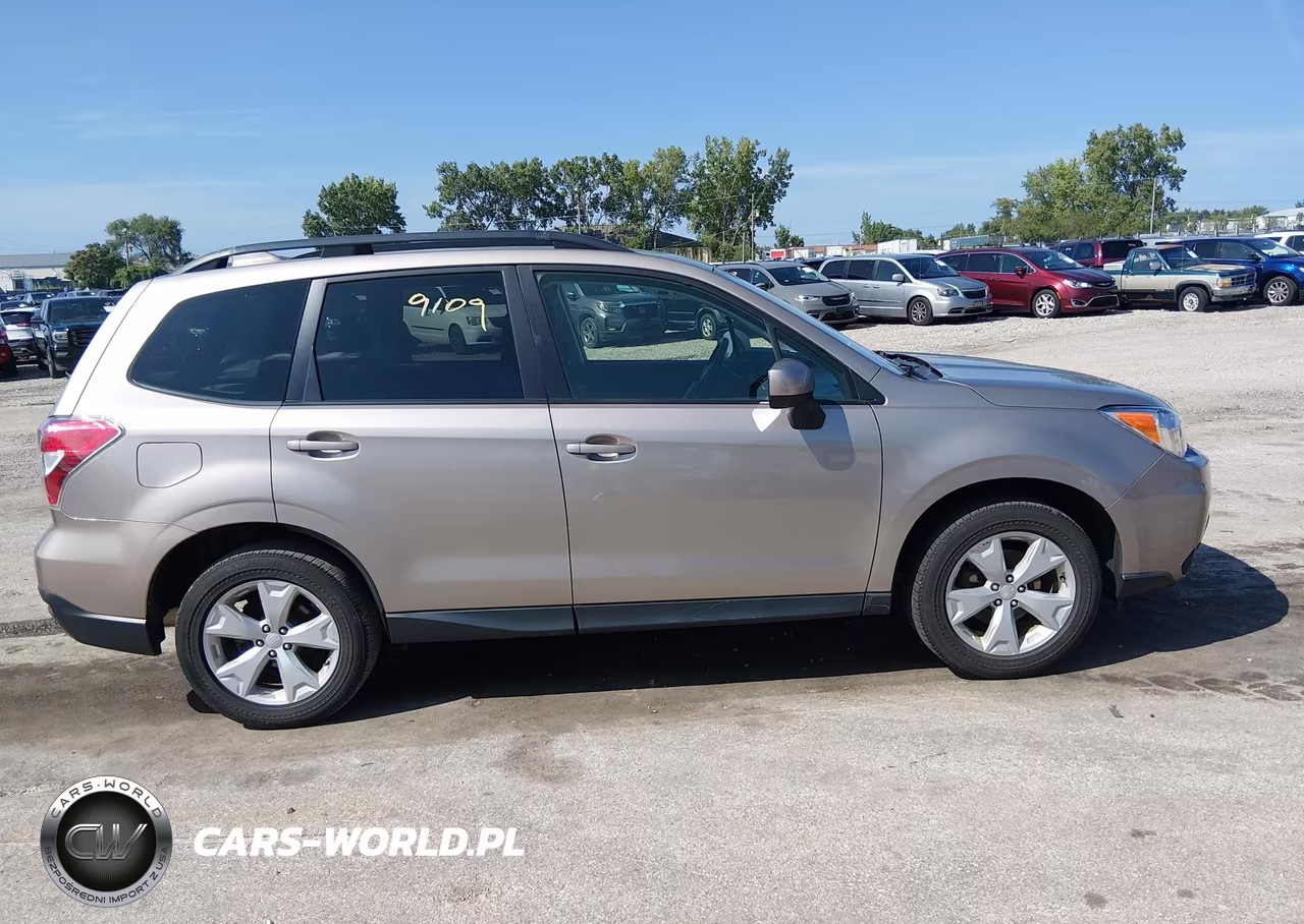 2016 Subaru Forester 2.5I Premium VIN:JF2SJAFC5GH456862 - 13