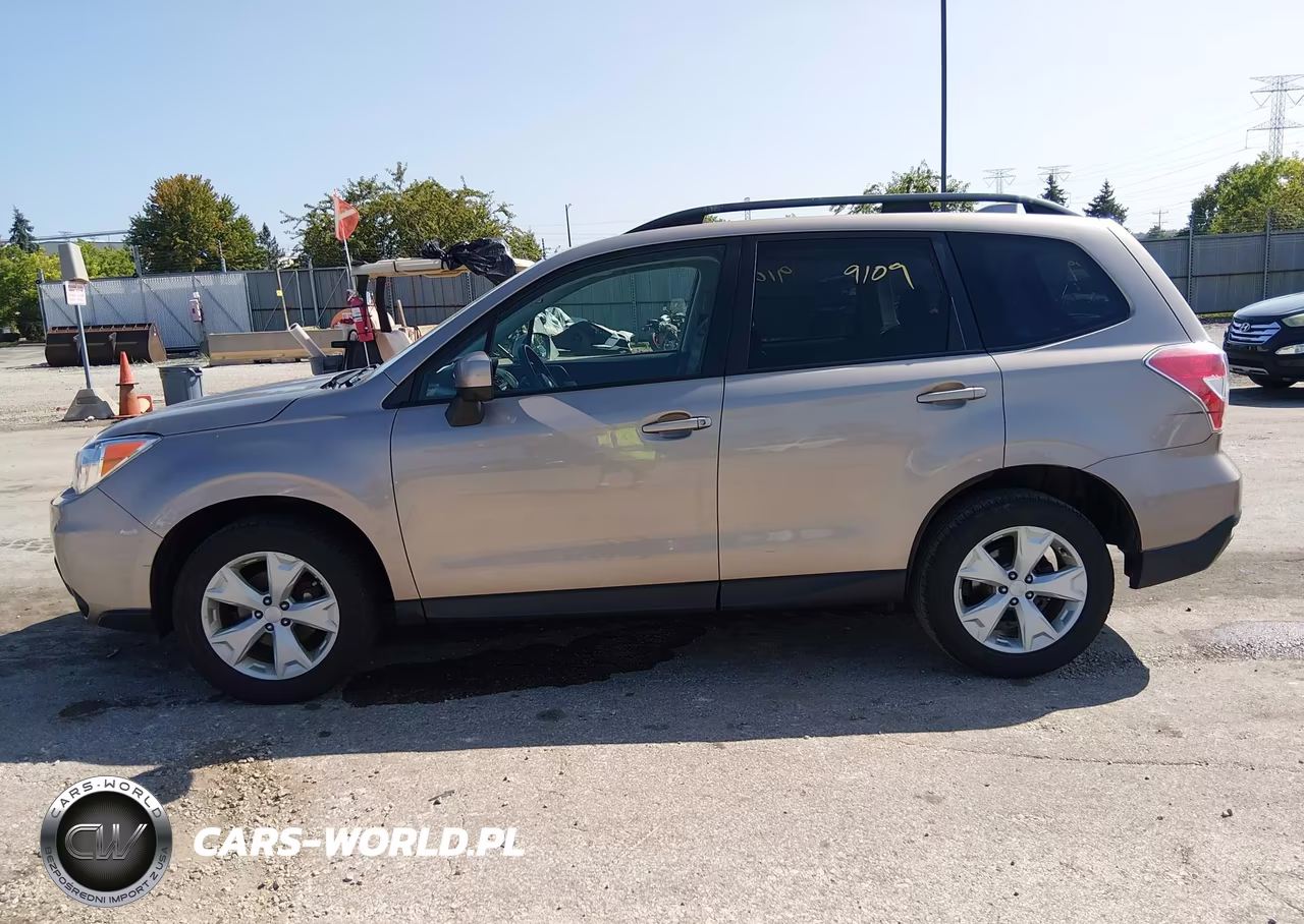 2016 Subaru Forester 2.5I Premium VIN:JF2SJAFC5GH456862 - 14