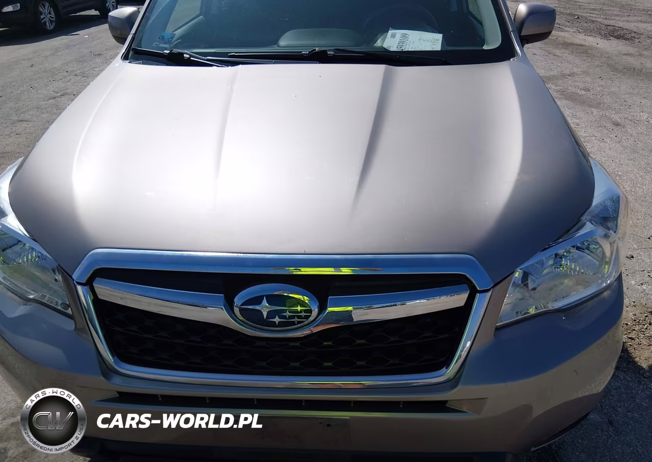 2016 Subaru Forester 2.5I Premium VIN:JF2SJAFC5GH456862 - 6