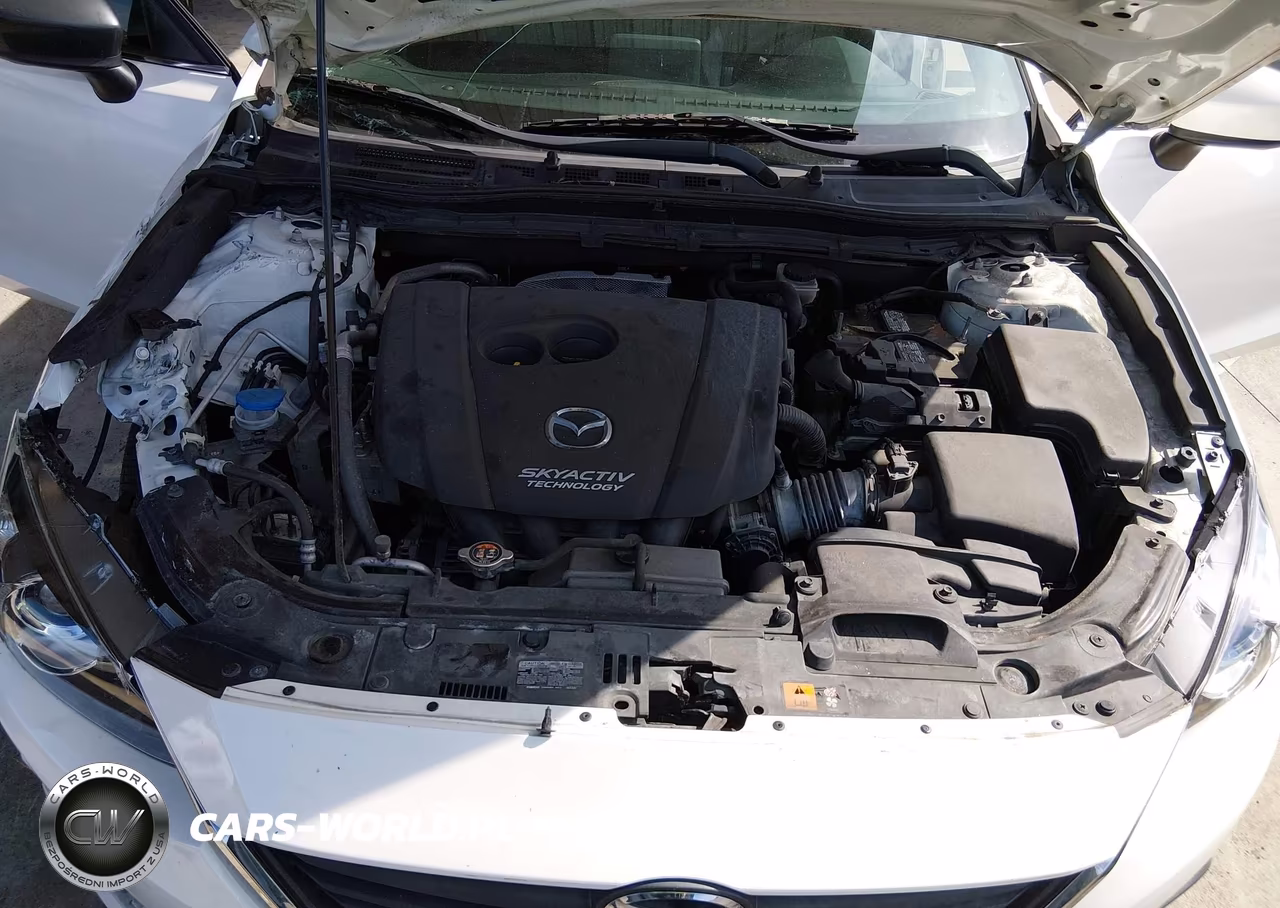 2016 Mazda Mazda3 I Sport VIN:JM1BM1U76G1328893 - 10