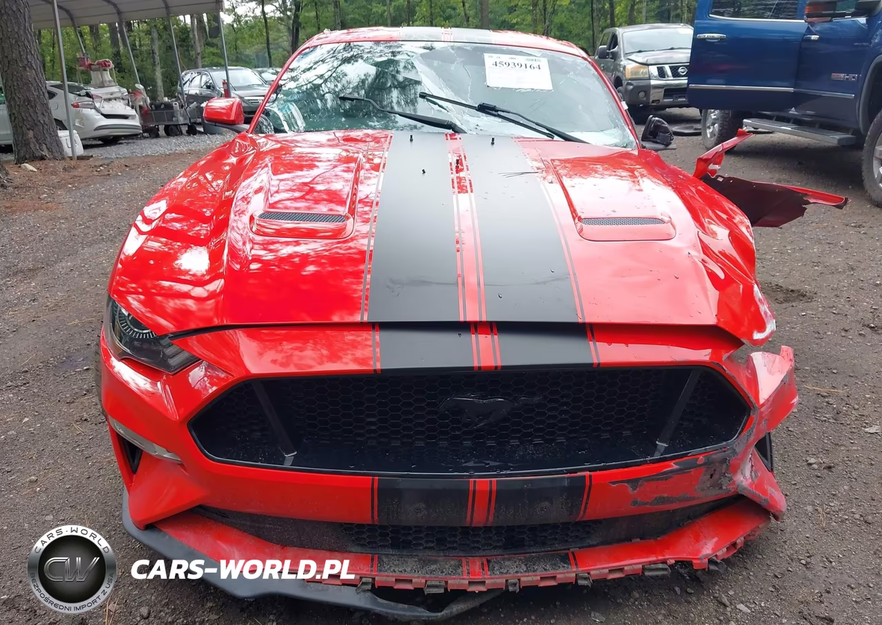 2019 Ford Mustang Gt VIN:1FA6P8CF5K5105844 - 12