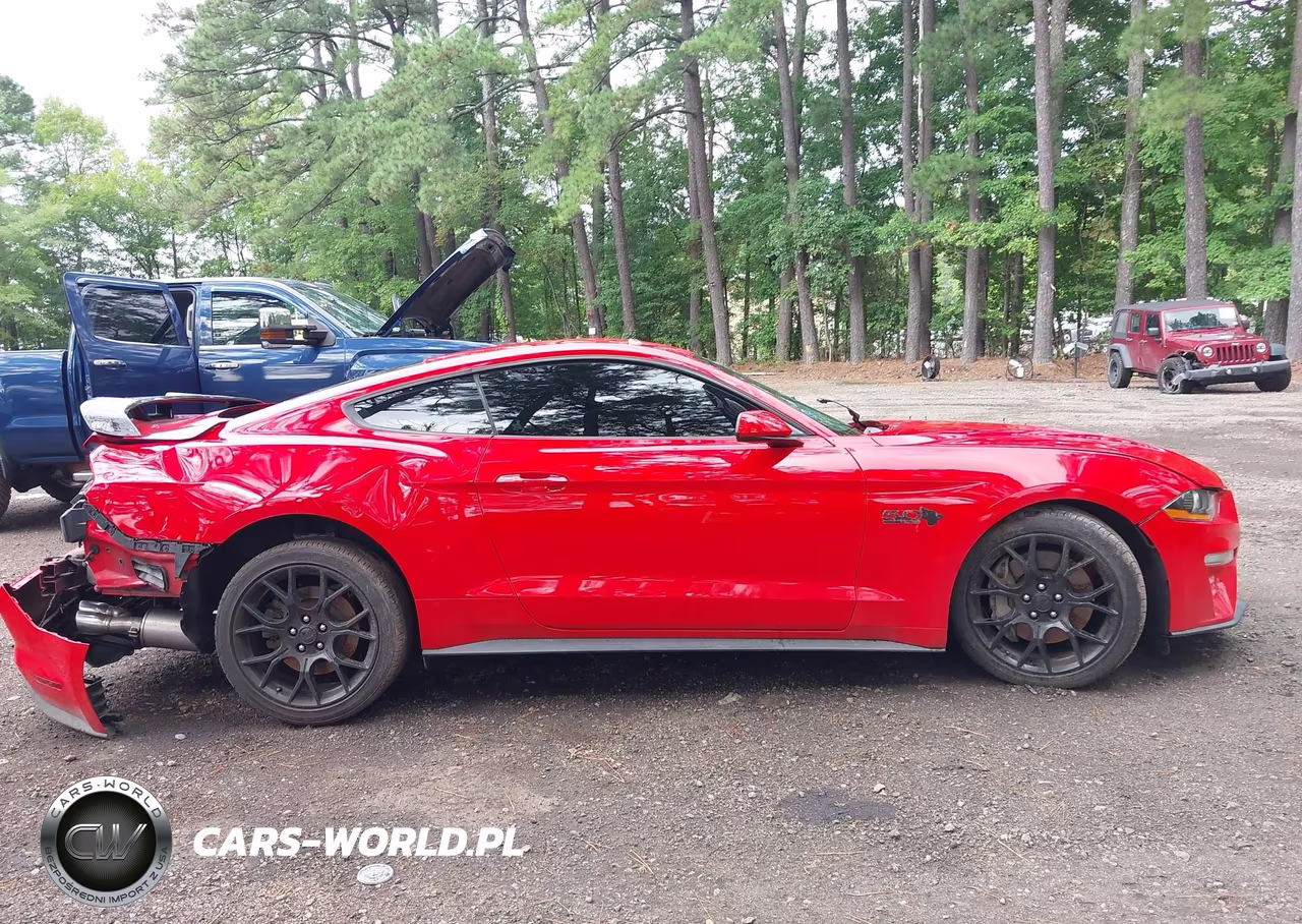 2019 Ford Mustang Gt VIN:1FA6P8CF5K5105844 - 13