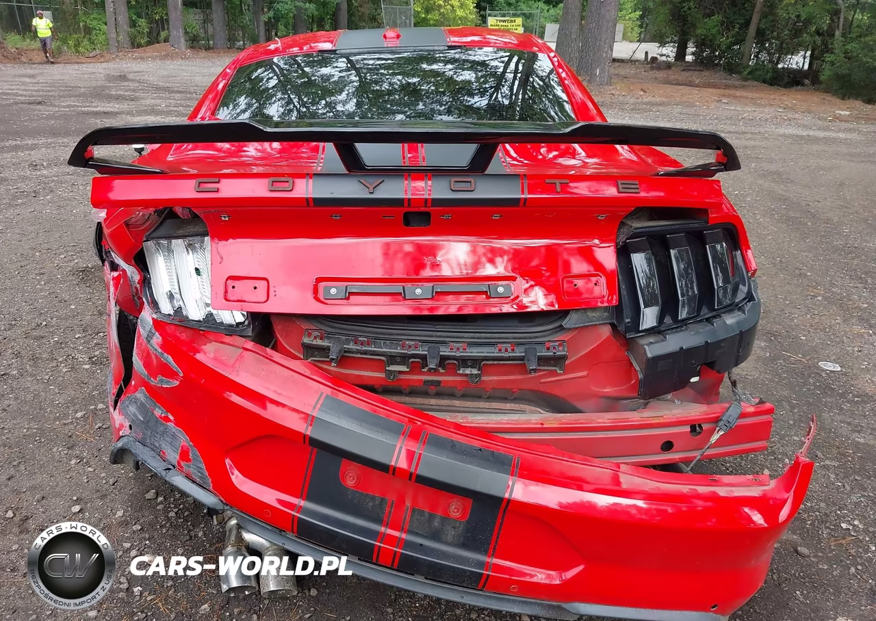 2019 Ford Mustang Gt VIN:1FA6P8CF5K5105844 - 16