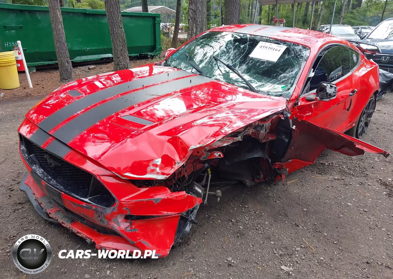 2019 Ford Mustang Gt VIN:1FA6P8CF5K5105844 - 2