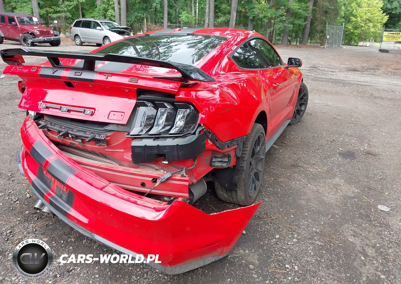 2019 Ford Mustang Gt VIN:1FA6P8CF5K5105844 - 4