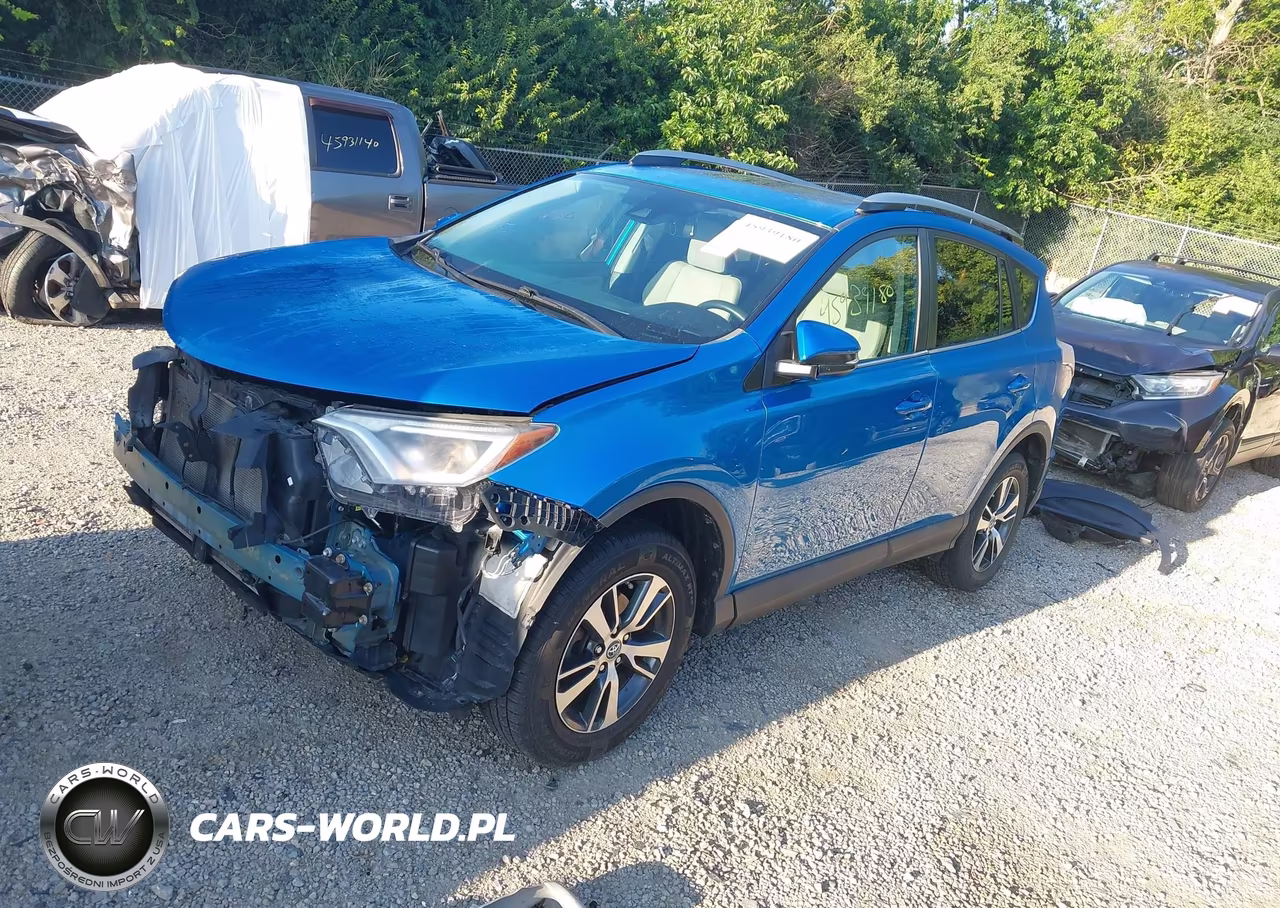 2017 RAV4 XLE RAV4 XLE XLE VIN:2T3WFREV3HW404192 - 2