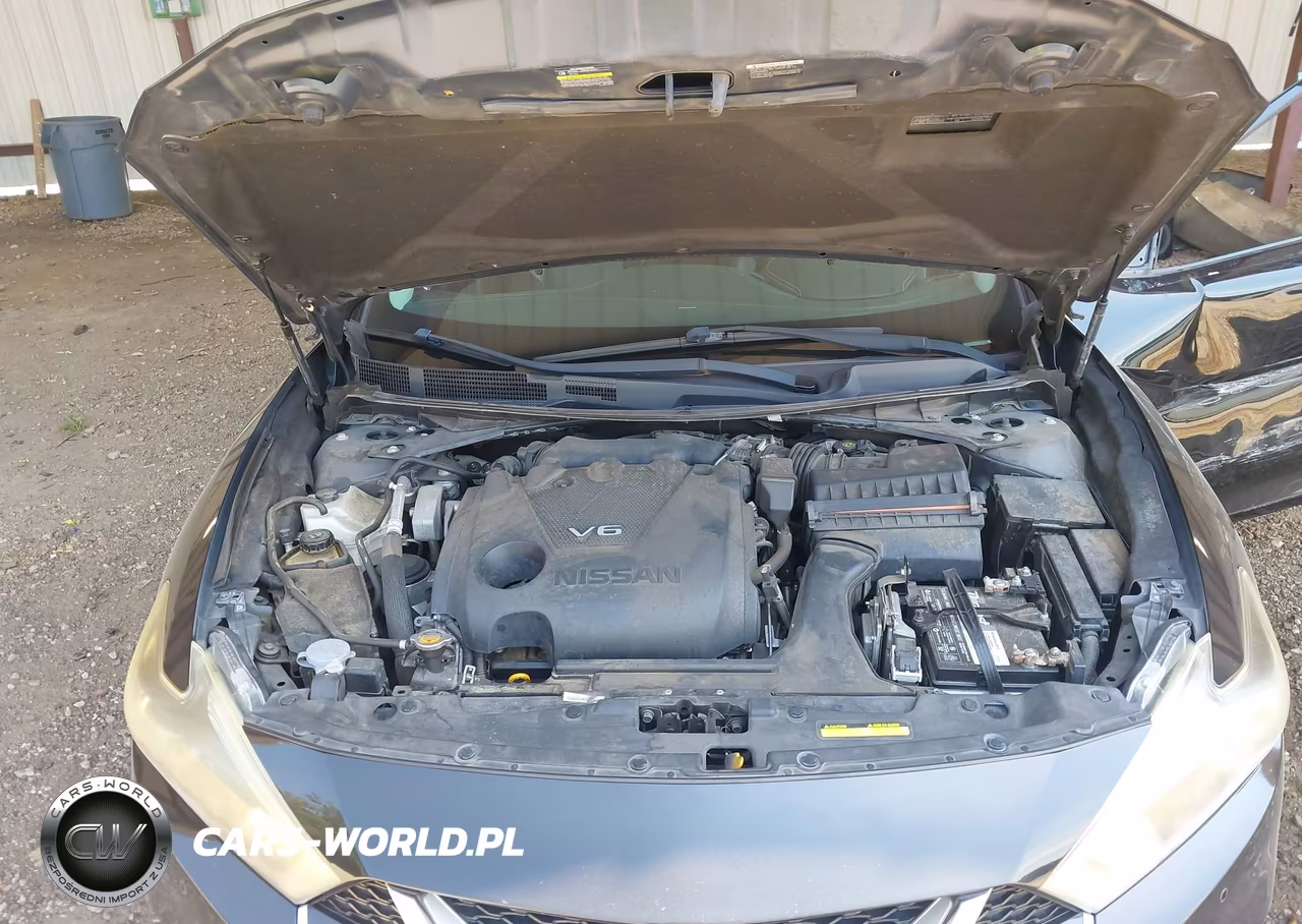 2017 Nissan Maxima 3.5 Platinum VIN:1N4AA6AP5HC423981 - 10